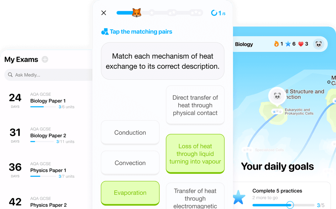 Medly App Interface